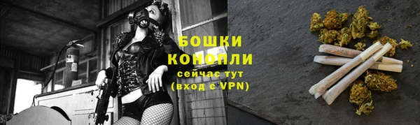 дурь Богданович