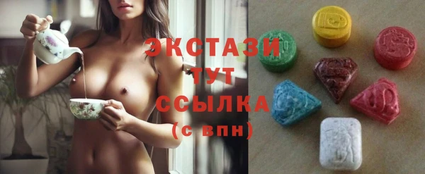 индика Бугульма