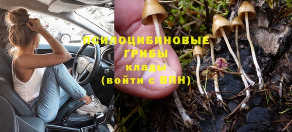 МДМА Бородино