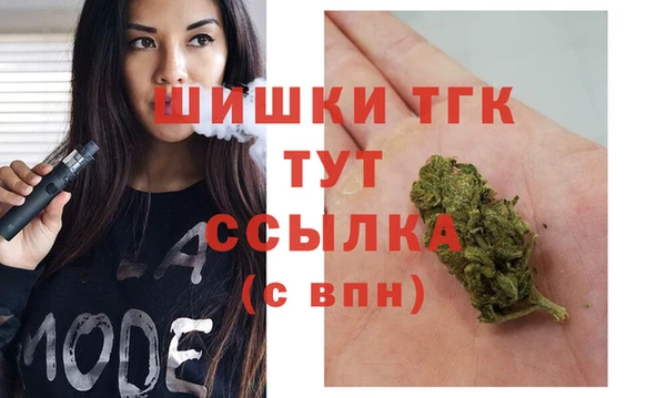 хмурый Богородицк