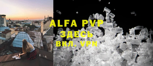 индика Бугульма