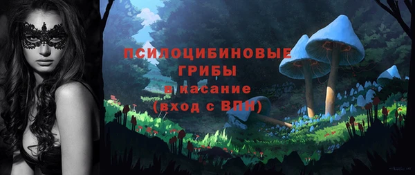 индика Бугульма