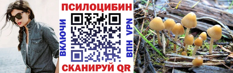 что такое наркотик  Минусинск  Псилоцибиновые грибы Psilocybine cubensis 